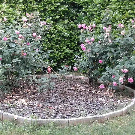 Otel Du Relais D'auniac