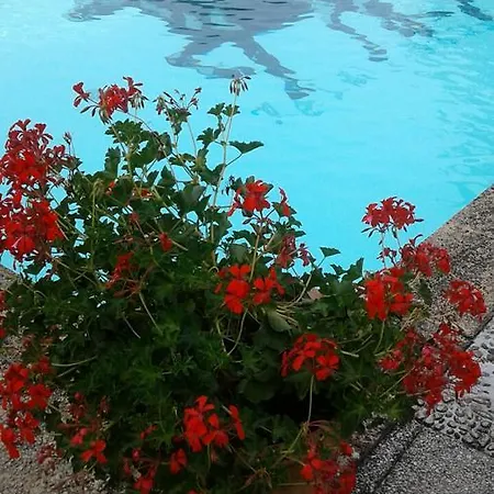 Du Relais D'auniac Gourdon-en-quercy